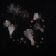 Nomura polyps begin strobilating.